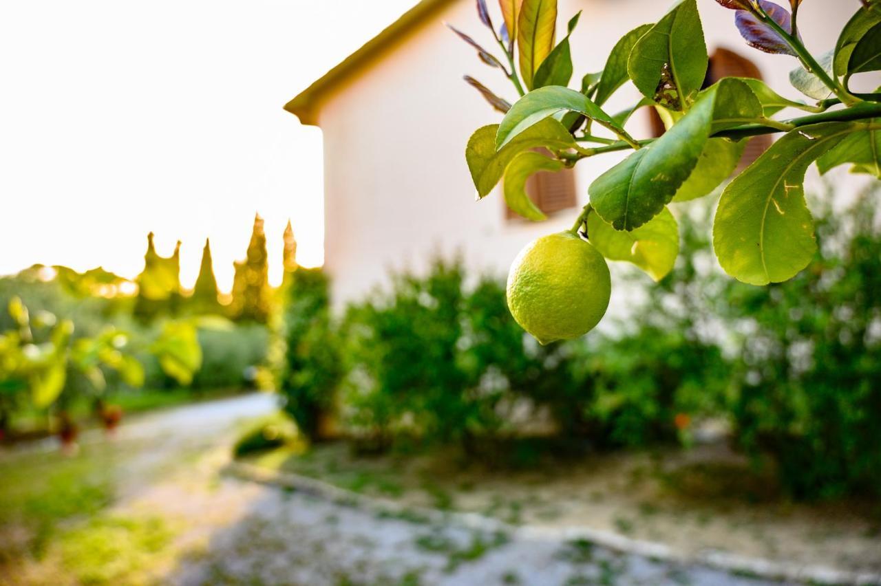 B&B Villa Giulia Saturnia Exterior photo